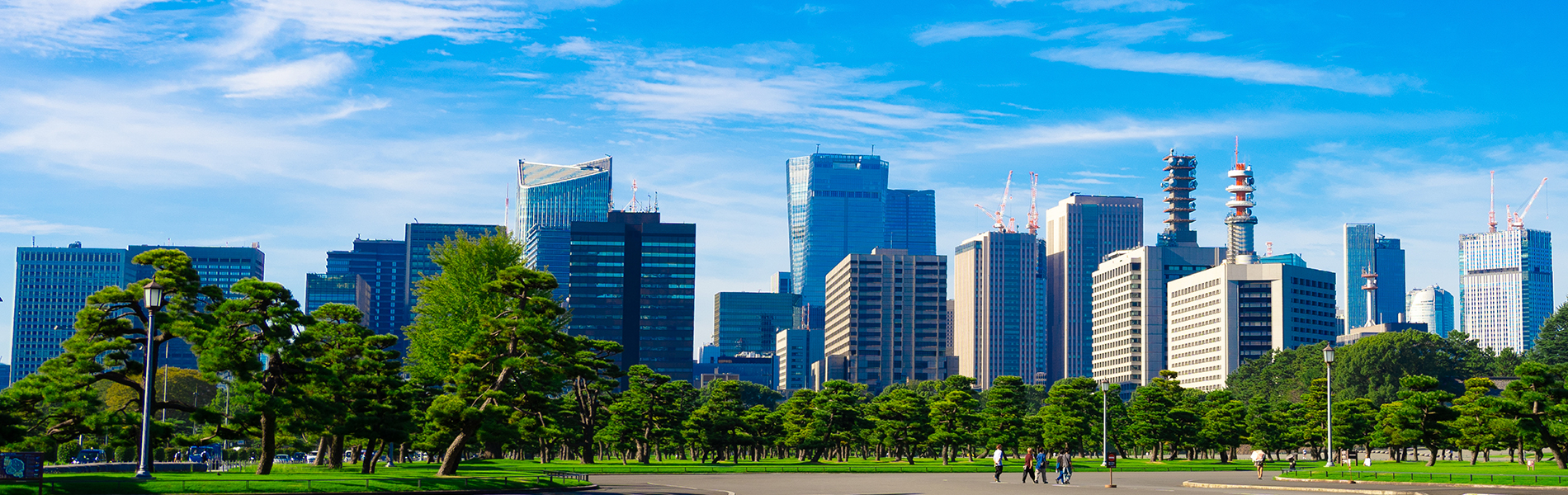 日本公共政策学会